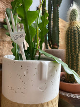 Load image into Gallery viewer, "L☮︎ve" Plant Marker