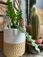 Load image into Gallery viewer, "L☮︎ve" Plant Marker