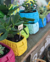 Load image into Gallery viewer, Betty the Bus planter
