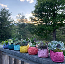 Load image into Gallery viewer, Betty the Bus planter